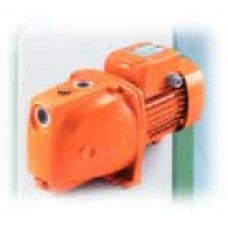 JRM2  ปั๊มLINZ ระบบ SELF-PRIMING   ใบพัดทองเหลือง 1"X 1" 0.75HP