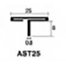 AST25 สแตนเลสตัวT ยาว2.44m. 