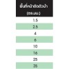 60227  IEC  10 (PD-NYY)     สายไฟ     THAI  YAZAKI