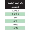 60227  IEC  10 (PD-NYY-G)     สายไฟ     THAI  YAZAKI