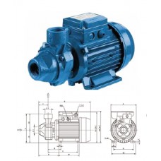 PRA-0.50M (0.5HP2สาย) ปั๊มน้ำหอยโข่ง EBARA เอบาร่า แบบใบพัดเฟื่อง